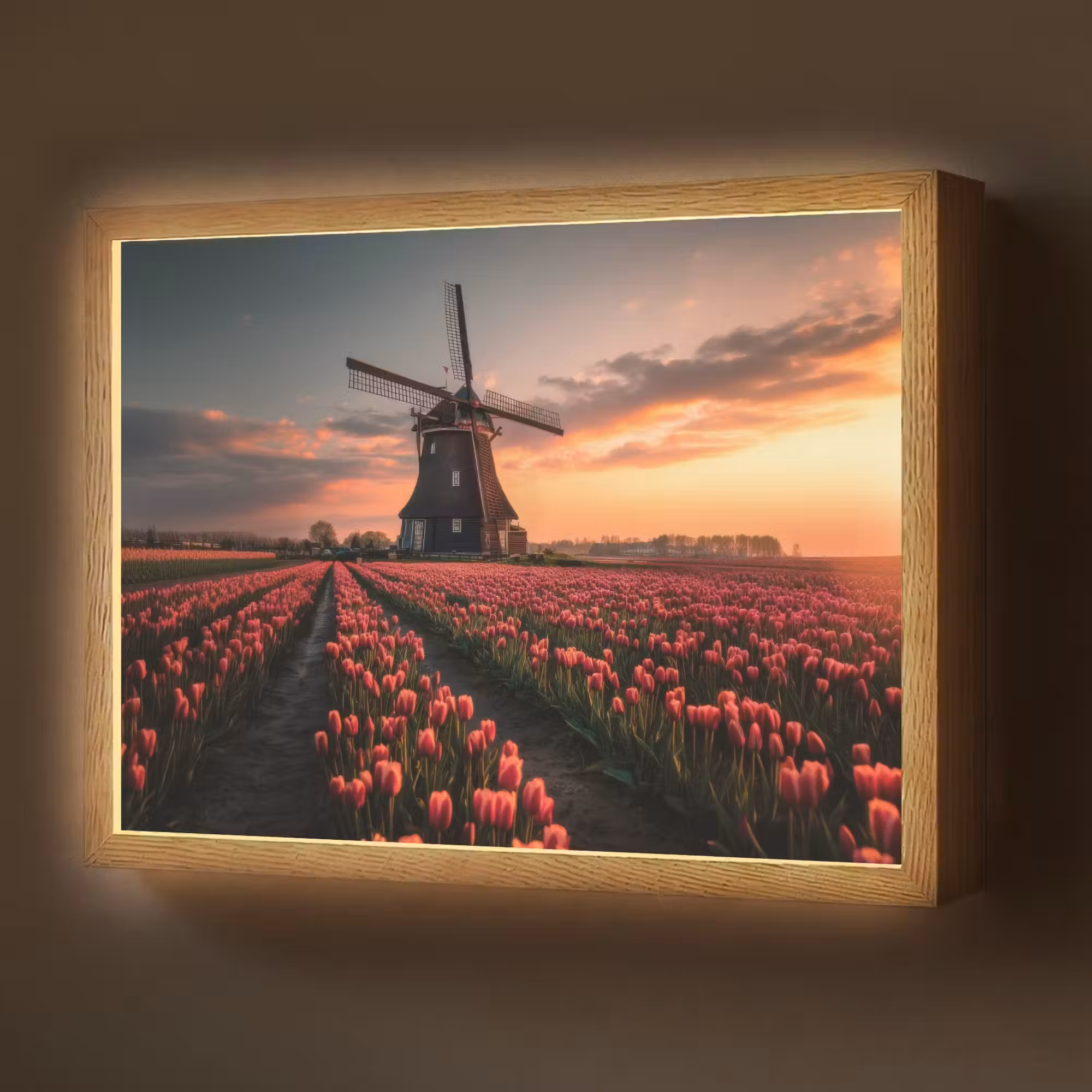 Lightbox - Wandlamp - Molen - Zonsondergang - Tulpen - Rood
