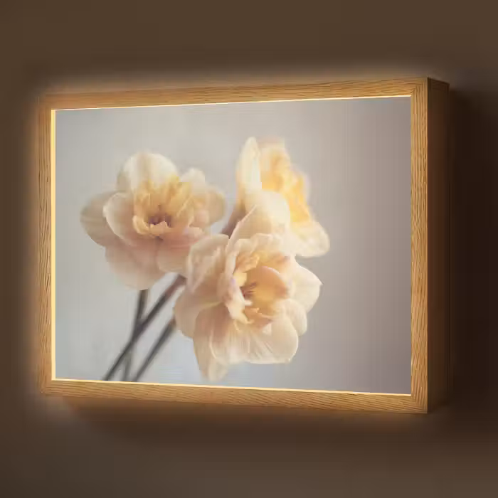 Lightbox - Wandlamp - Narcissen - Geel - Bloemblaadjes
