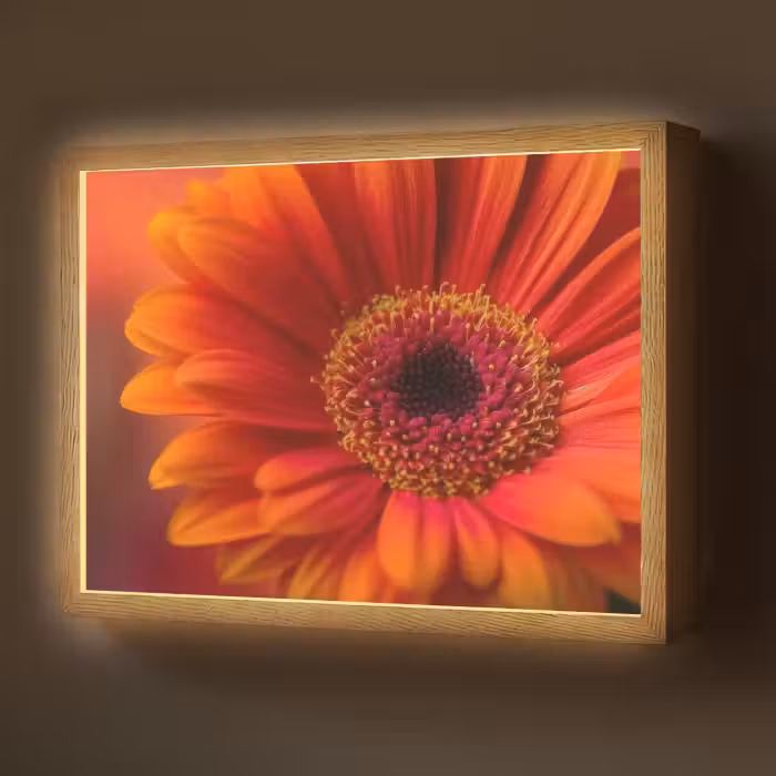 Lightbox - Wandlamp - Oranje - Gerbera - Intens