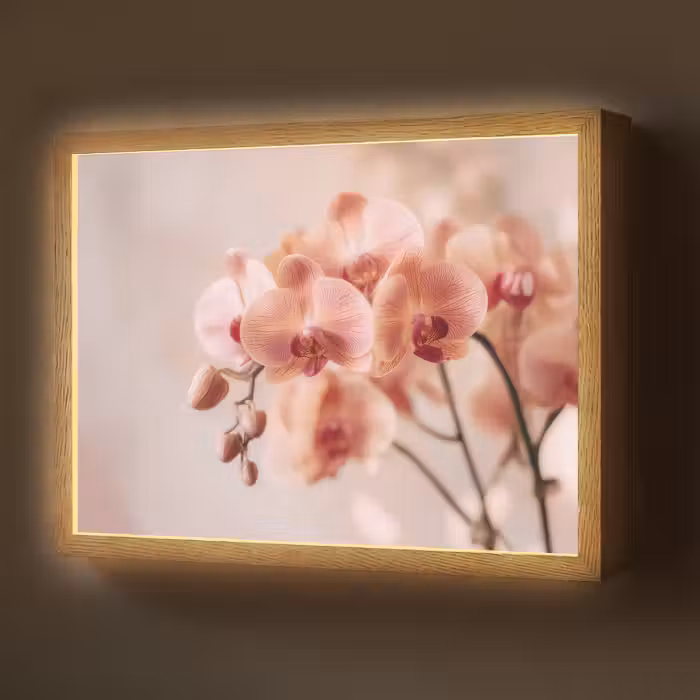 Lightbox - Wandlamp - Orchidee - Bloemen - Roze - Bloemblaadjes