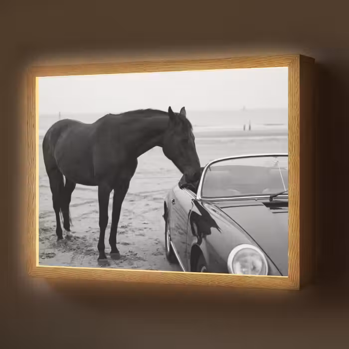 Lightbox - Wandlamp - Paard - Auto - Zwart - Wit