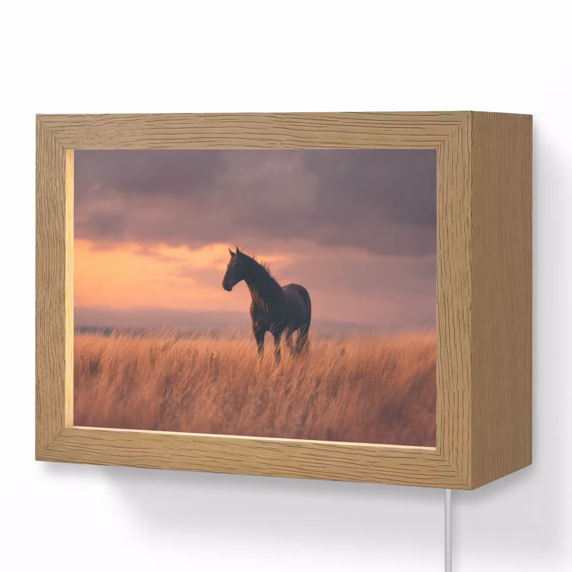 Lightbox - Wandlamp - Paard - Wolken - Open veld