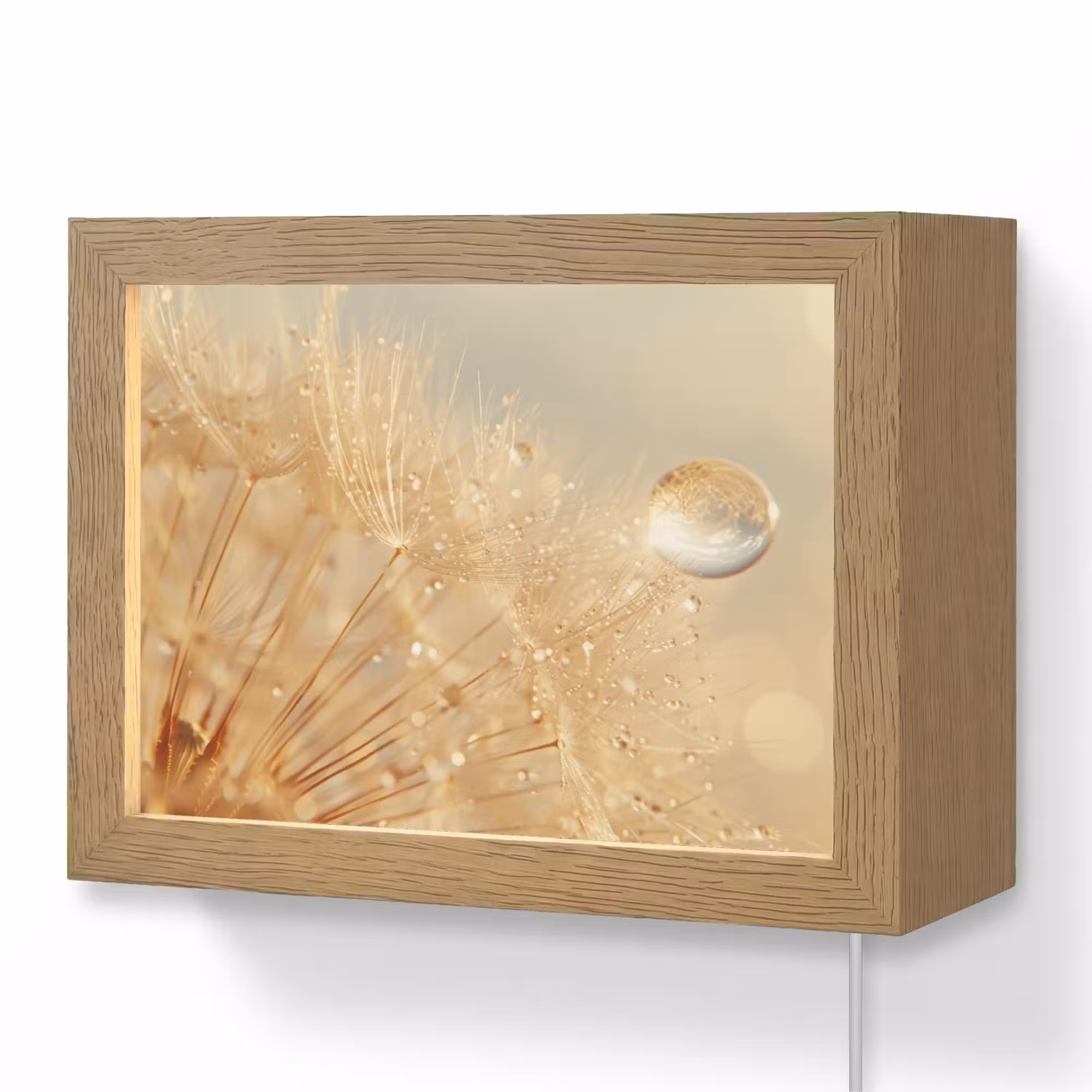 Lightbox - Wandlamp - Paardenbloem - Water - Natuur - Planten - Modern