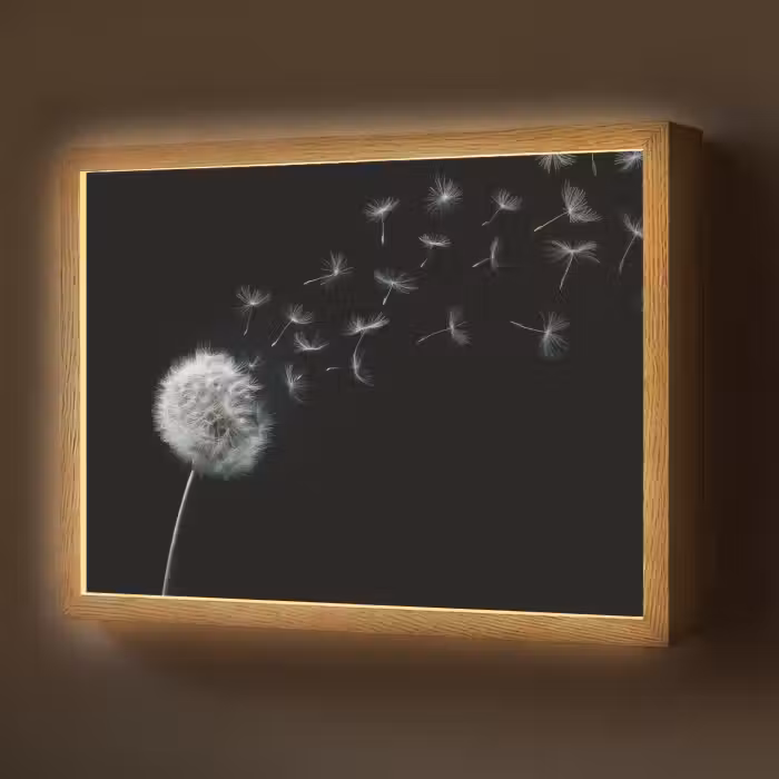 Lightbox - Wandlamp - Paardenbloem - Zwart - Natuur