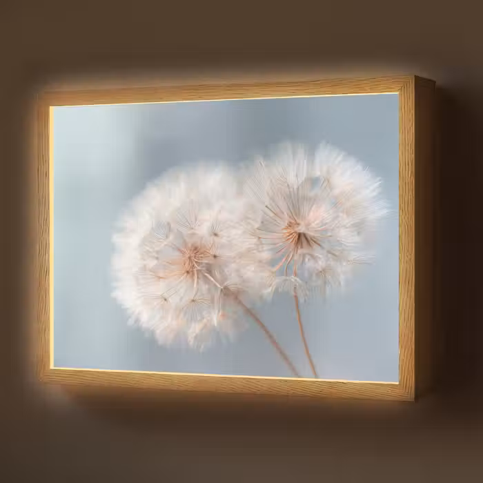 Lightbox - Wandlamp - Paardenbloemen - Pluisjes - Wit