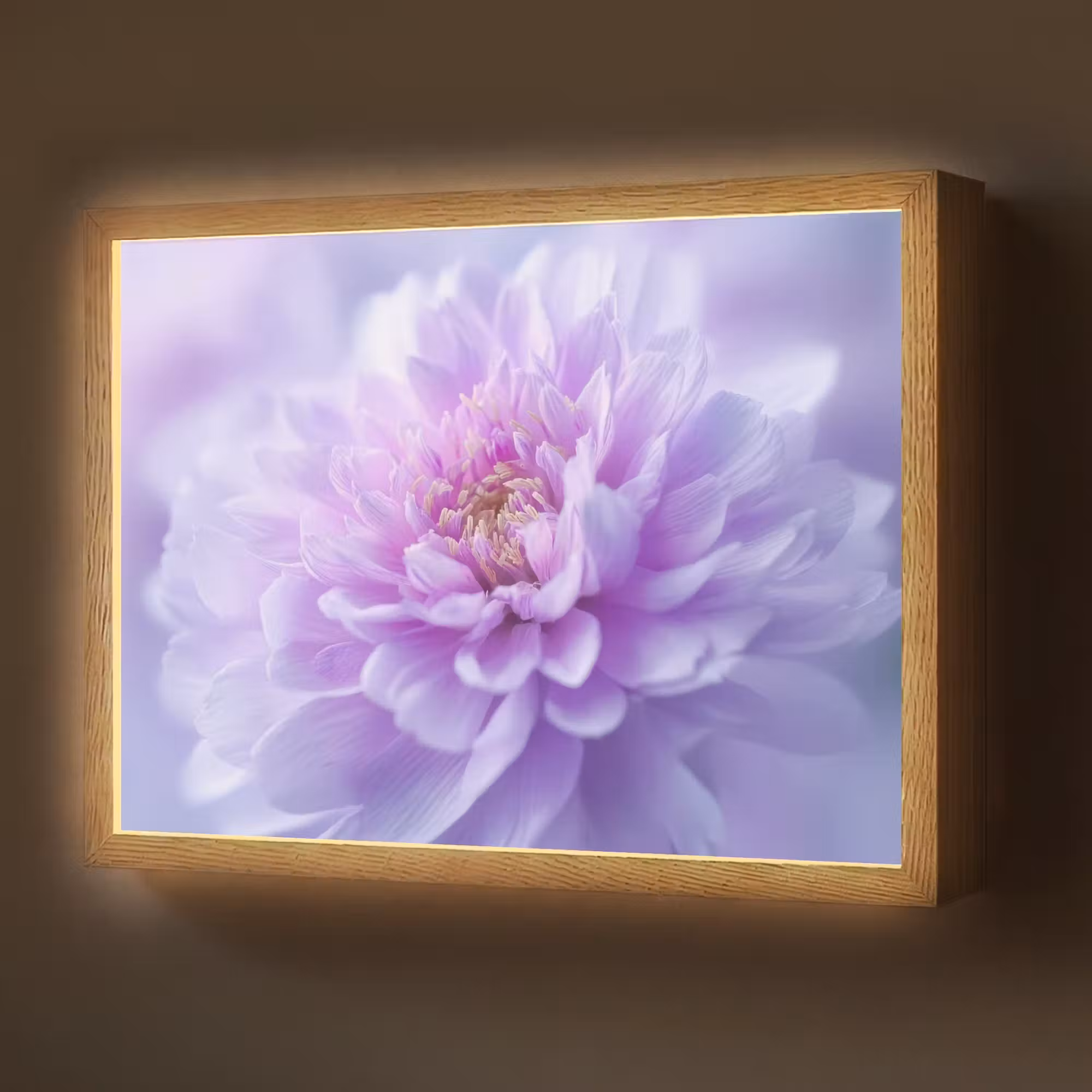 Lightbox - Wandlamp - Paars - Dahlia - Dromerig