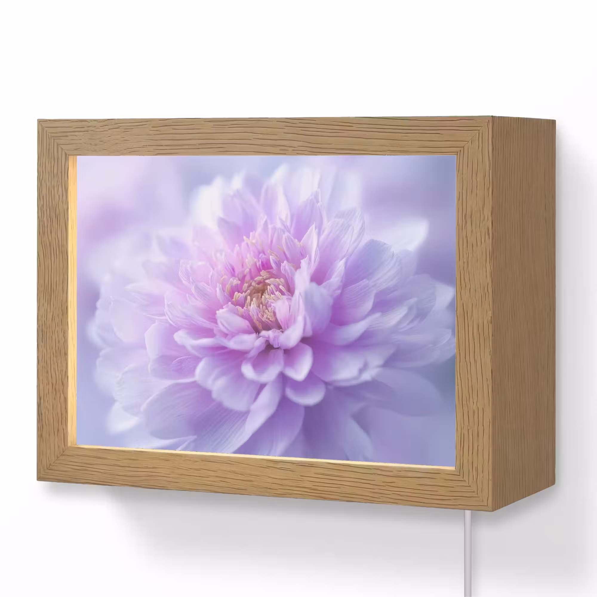 Lightbox - Wandlamp - Paars - Dahlia - Dromerig