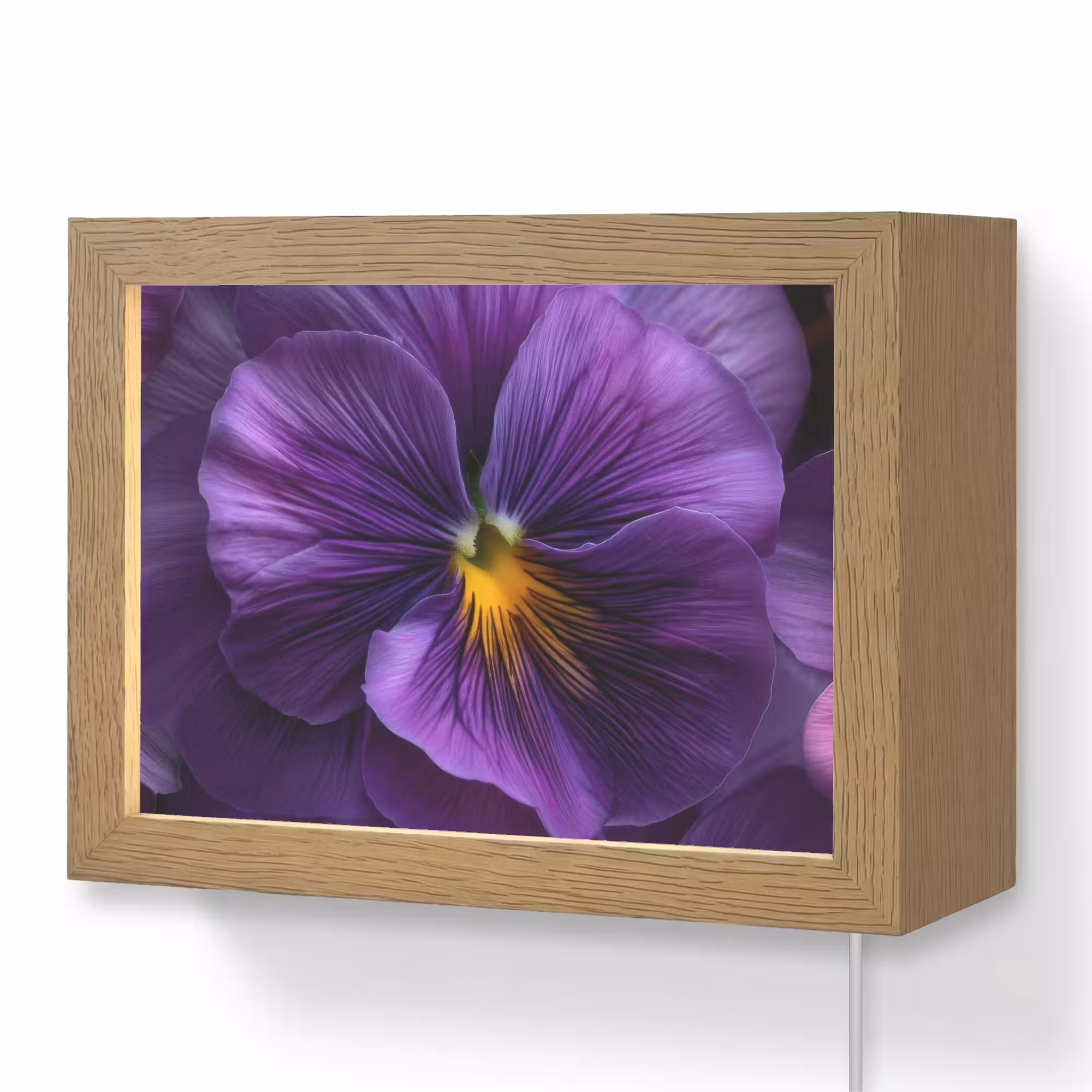 Lightbox - Wandlamp - Paars - Viool - Diepte
