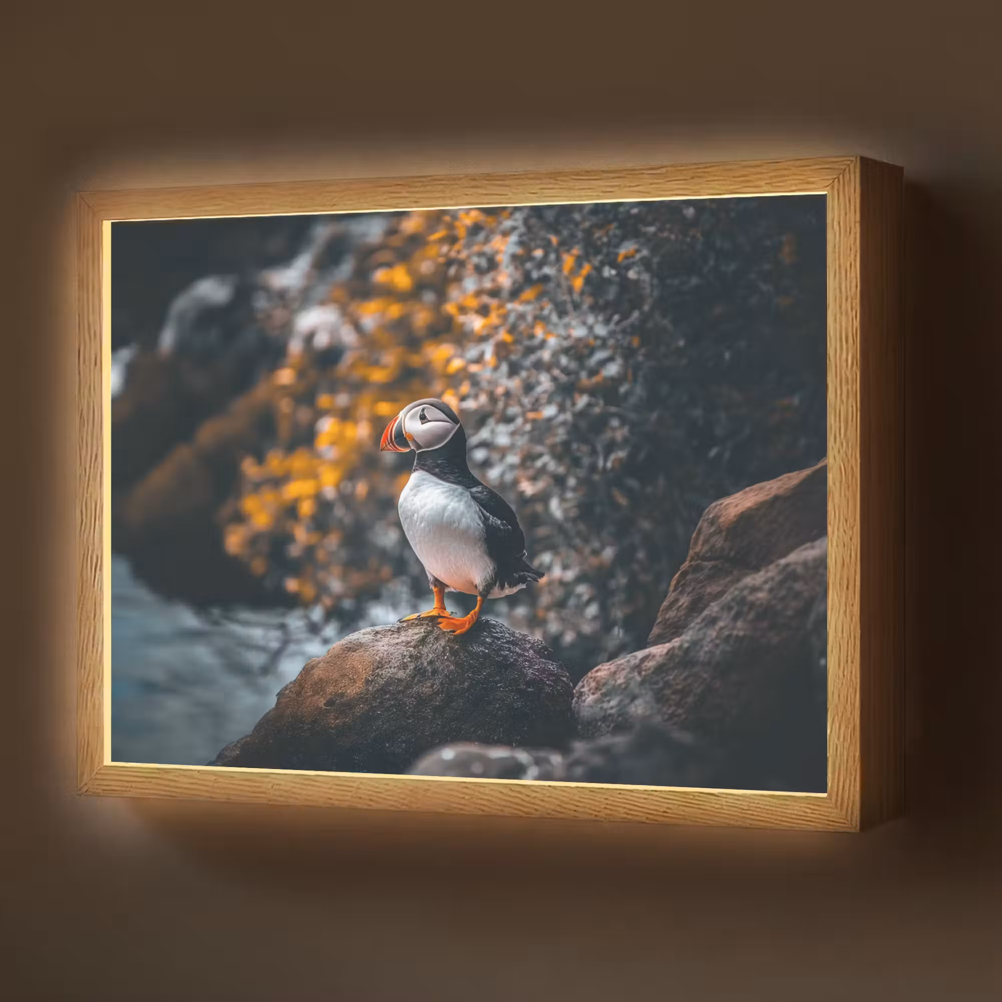 Lightbox - Wandlamp - Papegaai - Vogel - Rots - Wit