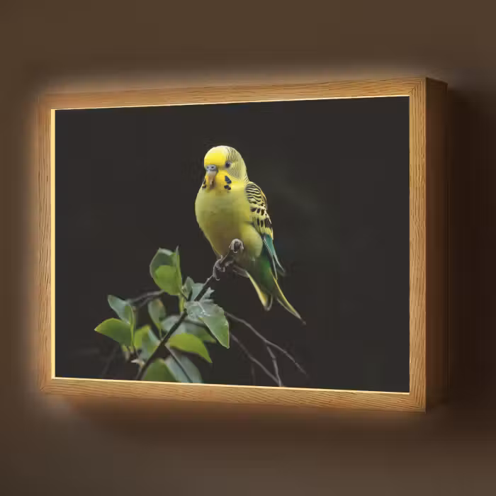 Lightbox - Wandlamp - Parkiet - Tak - Bladeren - Geel