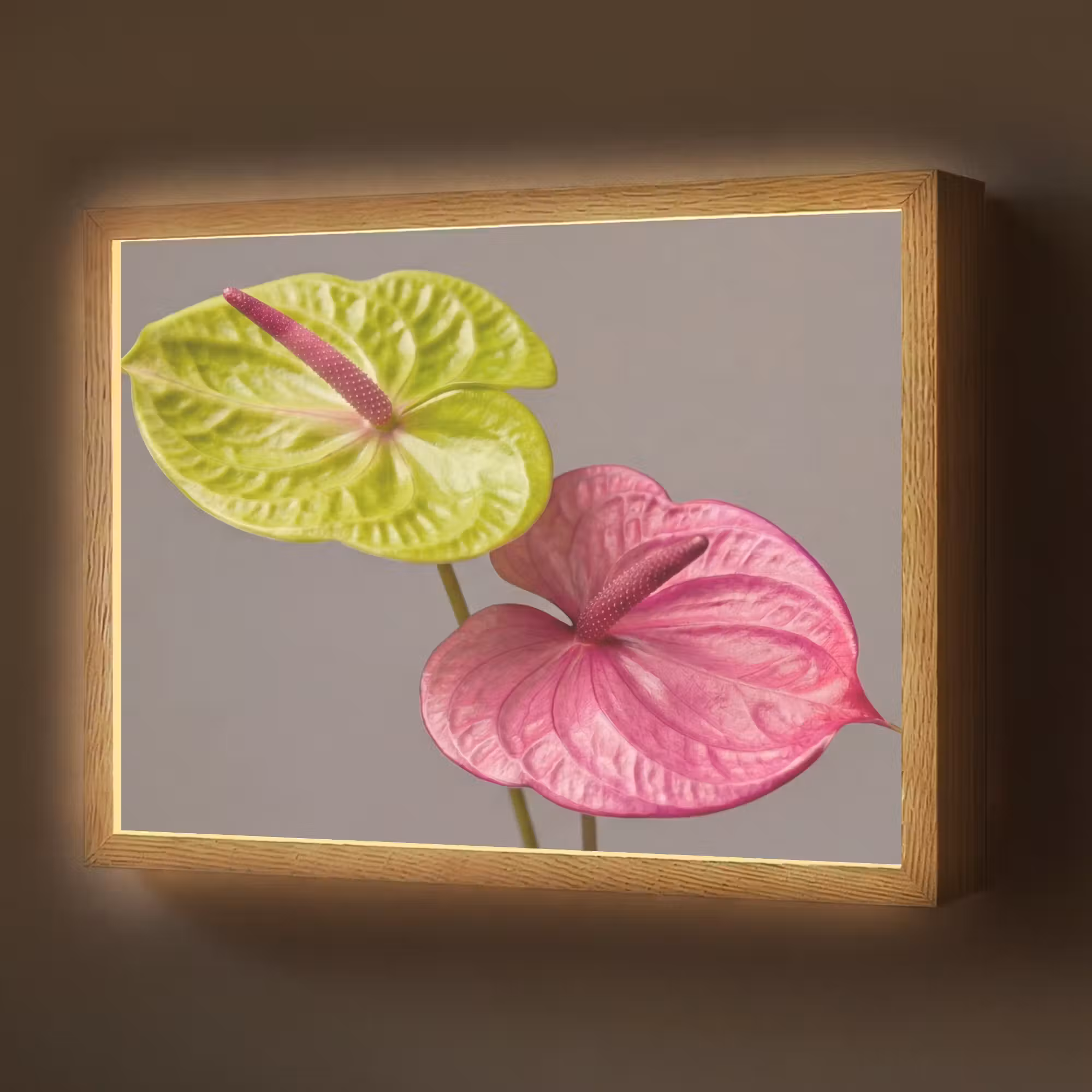 Lightbox - Wandlamp - Planten - Anthurium - Groen - Roze