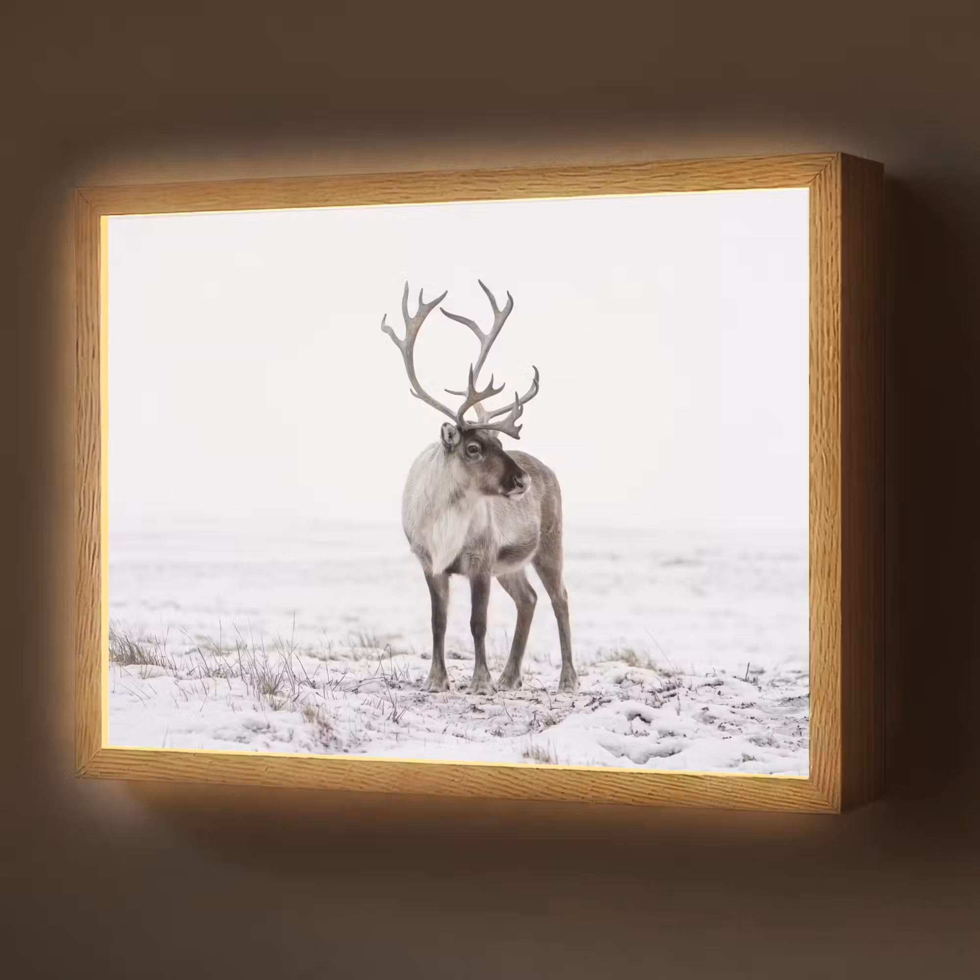 Lightbox - Wandlamp - Rendier - Gewei - Sneeuw - Winter