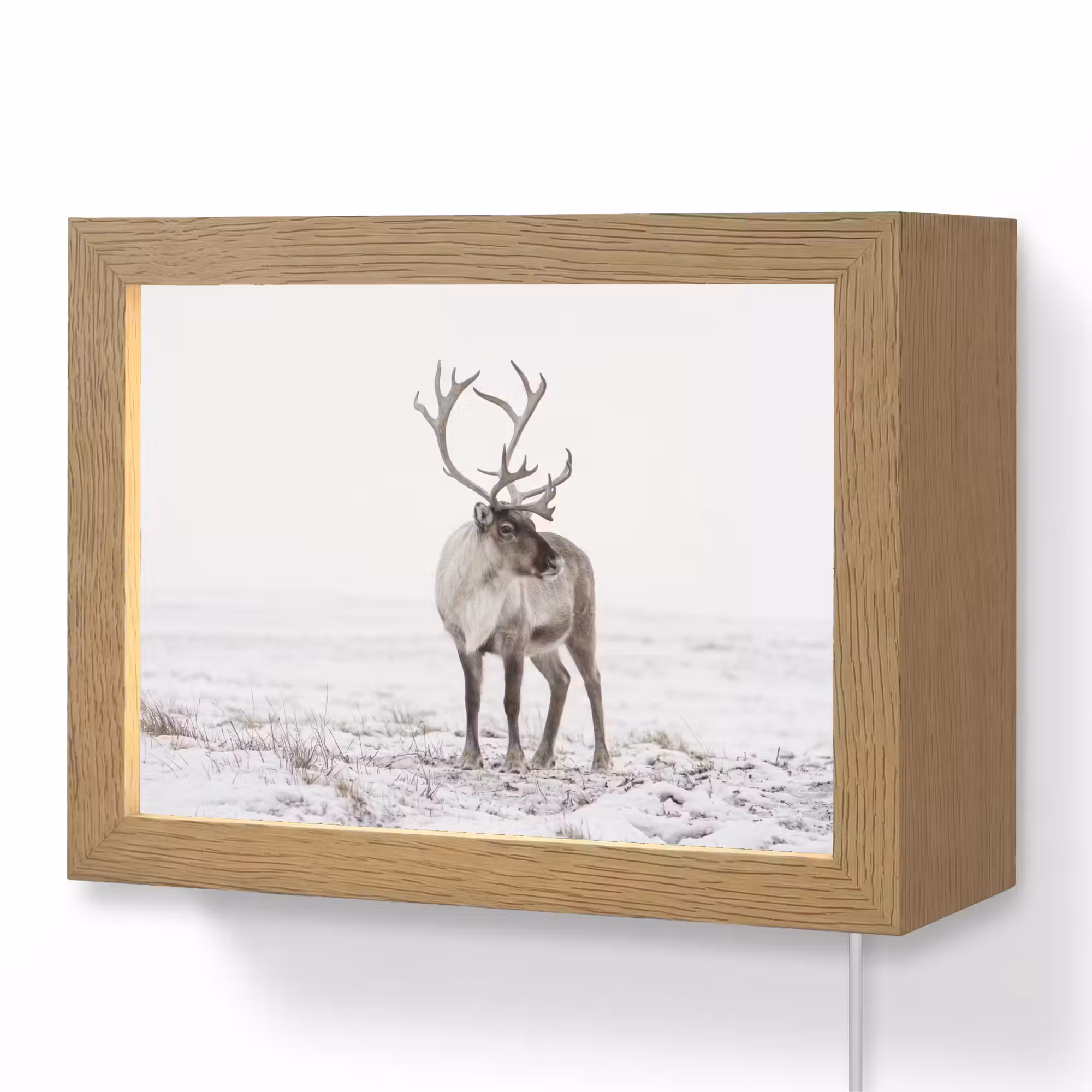 Lightbox - Wandlamp - Rendier - Gewei - Sneeuw - Winter
