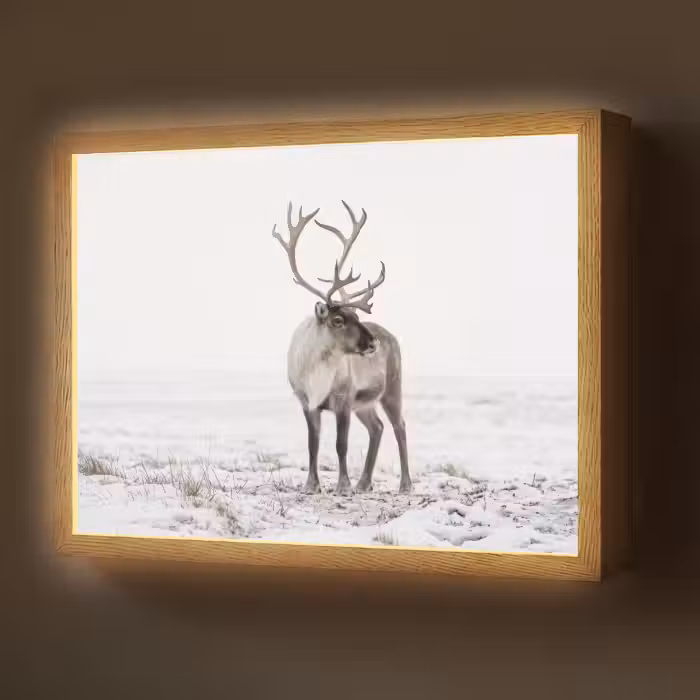 Lightbox - Wandlamp - Rendier - Gewei - Sneeuw - Winter
