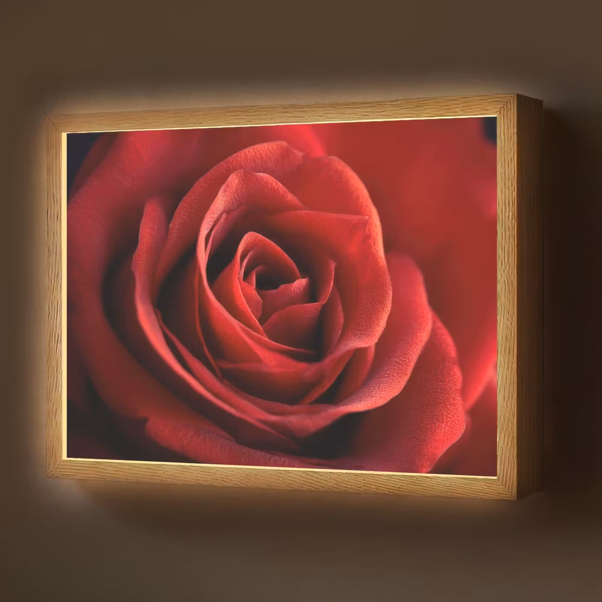 Lightbox - Wandlamp - Rood - Roos - Romantisch
