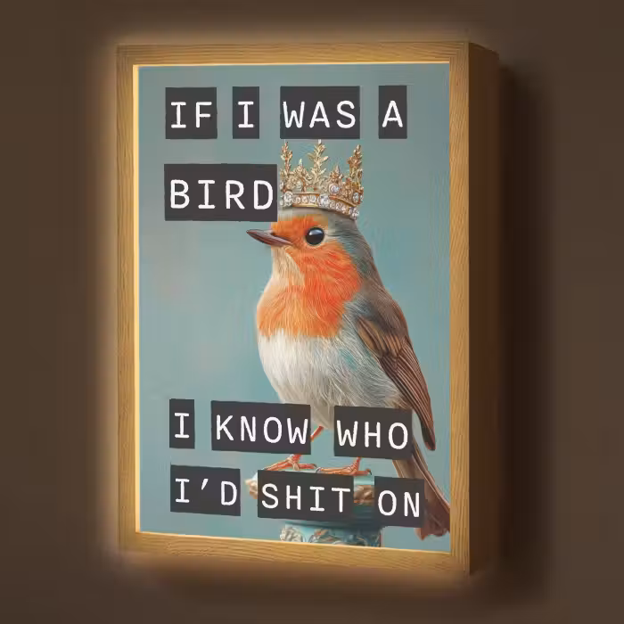Lightbox - Wandlamp - Roodborstje - Vogel - Blauw - Decoratie