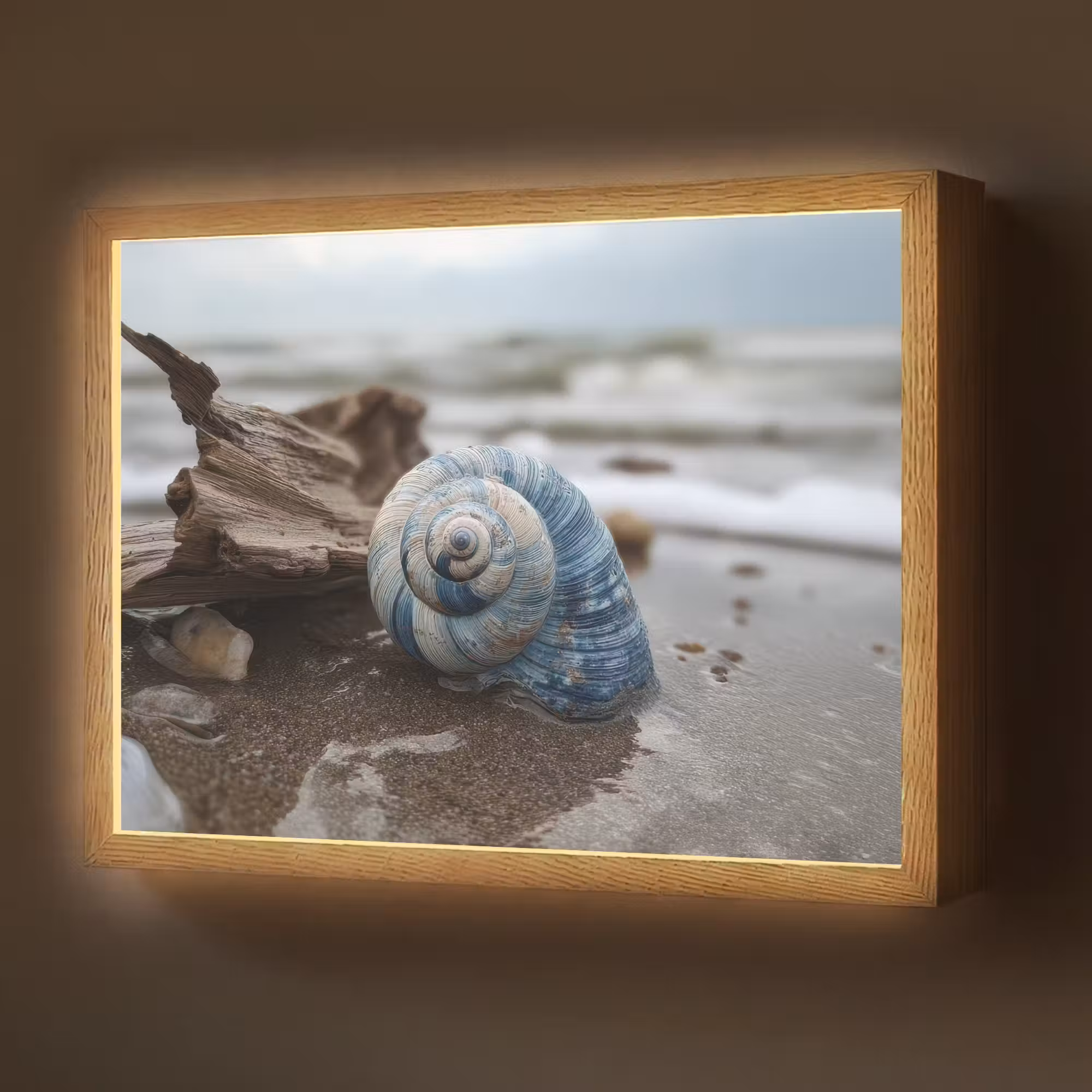 Lightbox - Wandlamp - Schelp - Strand - Blauw - Zee