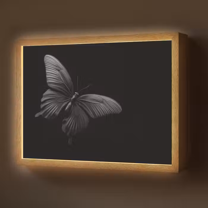 Lightbox - Wandlamp - Vlinder - Zwart - Insect - Dieren