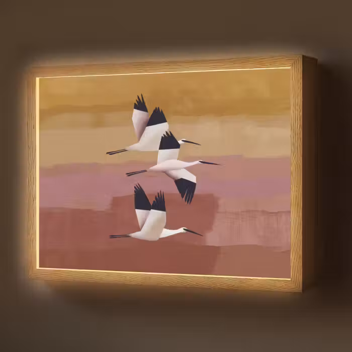 Lightbox - Wandlamp - Vogels - Snavel - Abstract