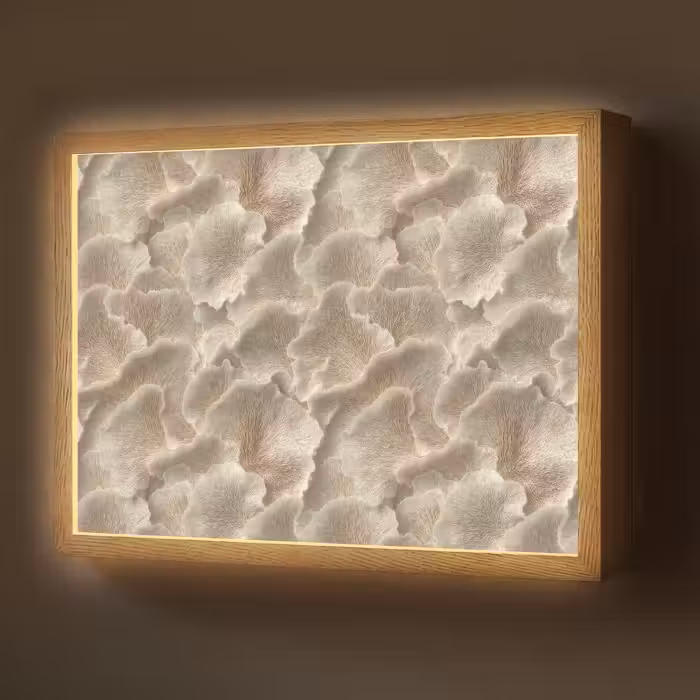 Lightbox - Wandlamp - Waaierstructuren - Beige - Vezeltextuur