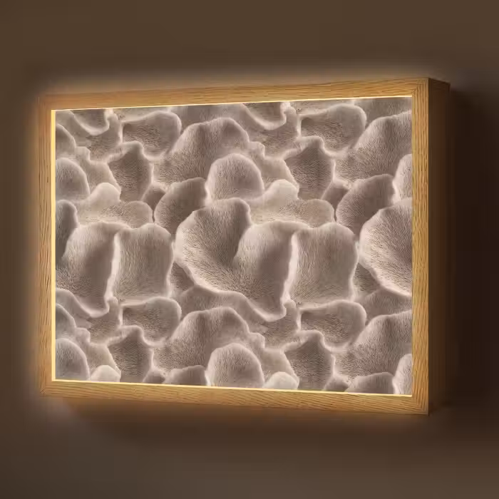 Lightbox - Wandlamp - Waaiervorm - Beige - Vezel textuur