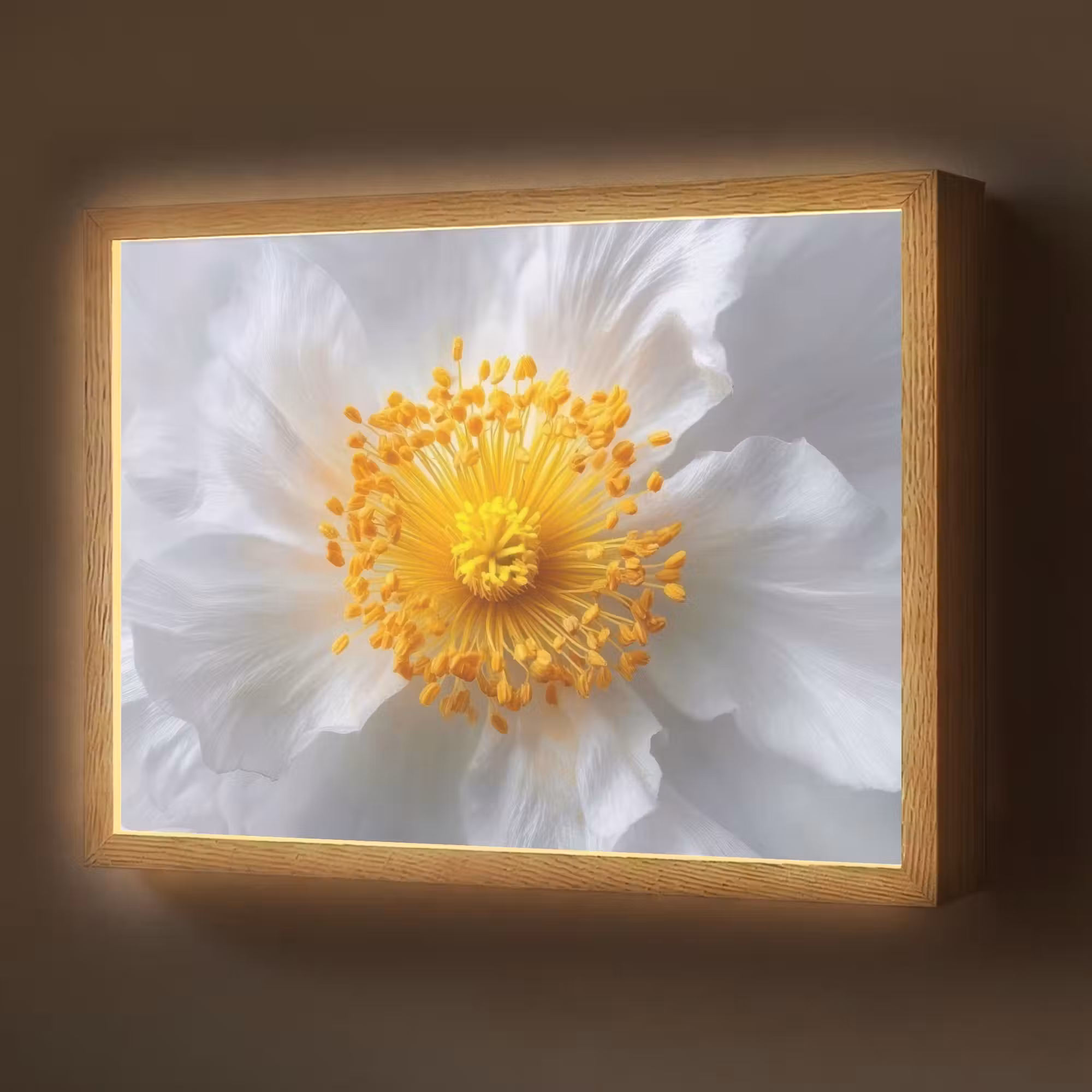 Lightbox - Wandlamp - Wit - Bloem - Elegant