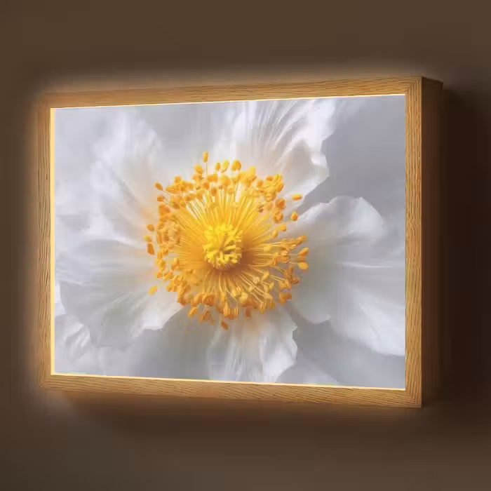 Lightbox - Wandlamp - Wit - Bloem - Elegant