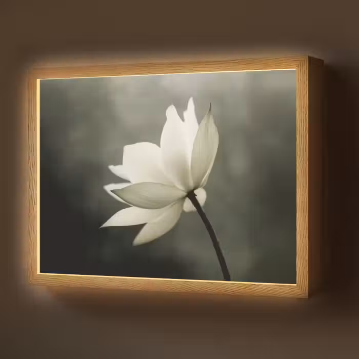 Lightbox - Wandlamp - Wit - Lotus - Donker - Bloem