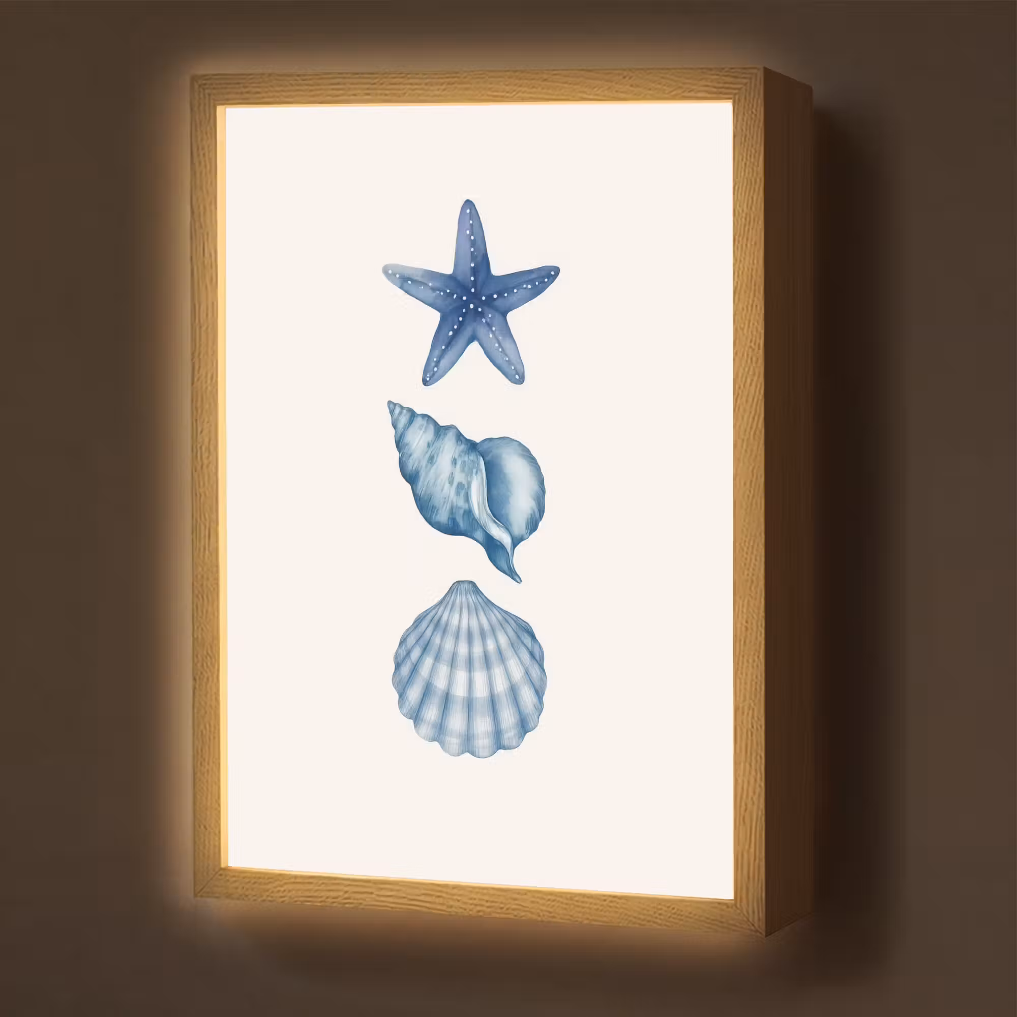 Lightbox - Wandlamp - Zeester - Schelpen - Blauw