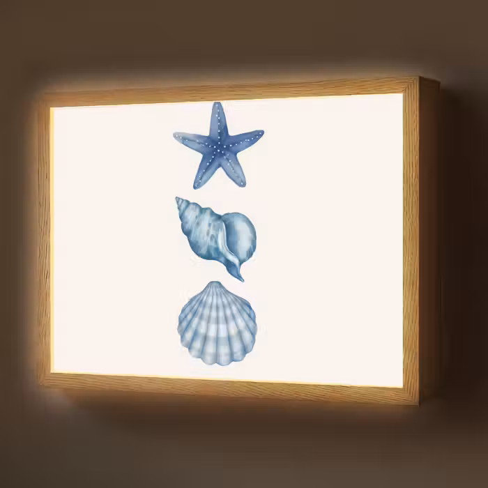 Lightbox - Wandlamp - Zeester - Schelpen - Blauw