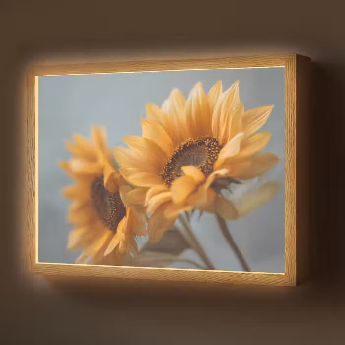 Lightbox - Wandlamp - Zonnebloemen - Geel - Wazig
