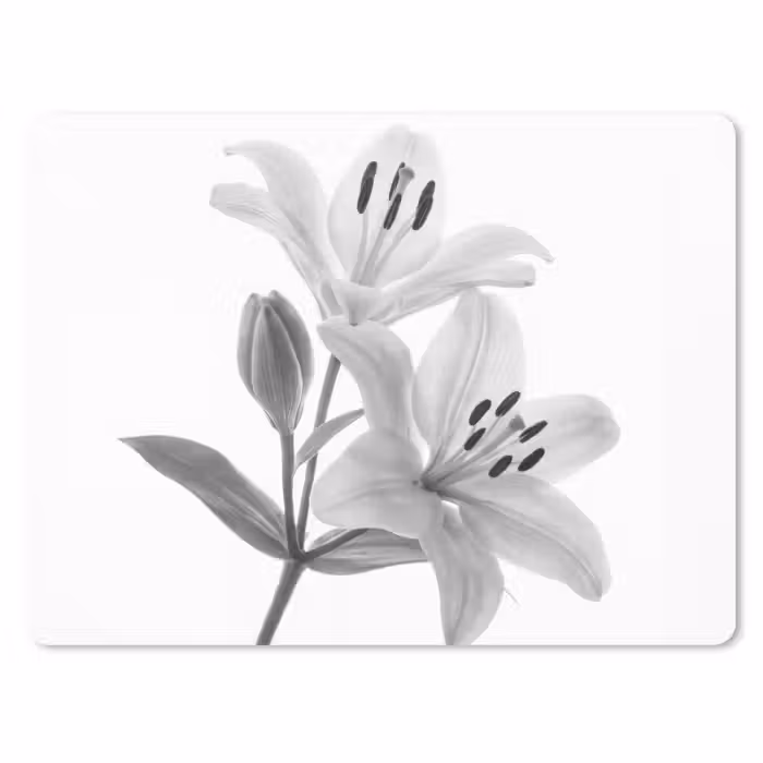 Muismat - Lelies - Elegant - Zwart - Wit