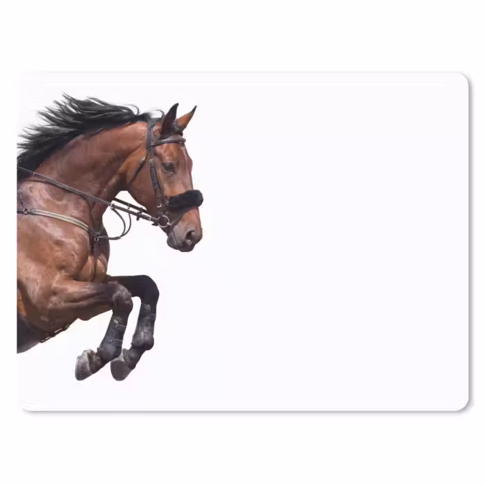 Muismat - Paard - Springen - Modern