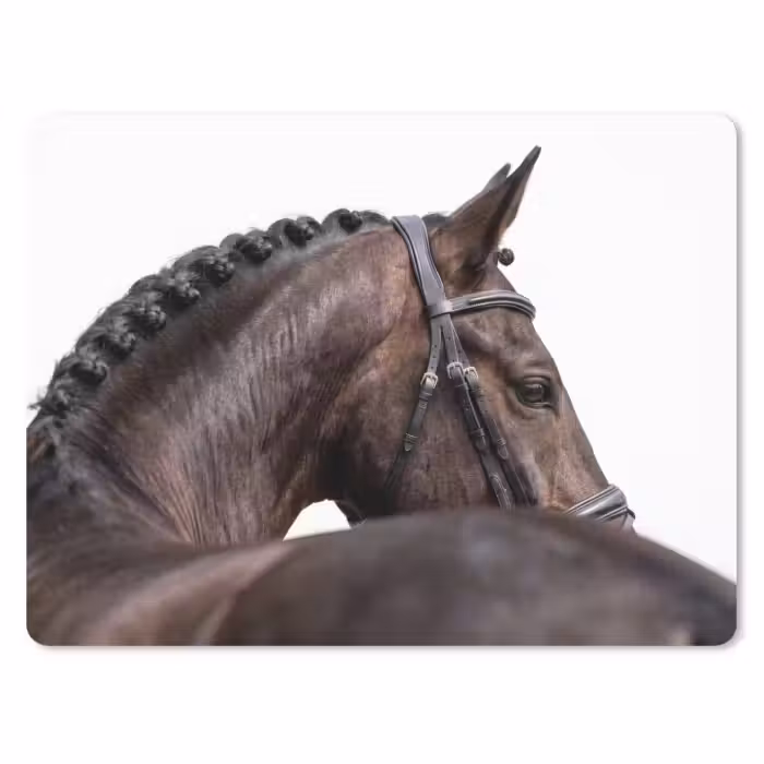 Muismat - Portret - Paard - Elegant