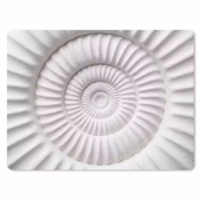 Muismat - Schelp - Spiraal - Wit