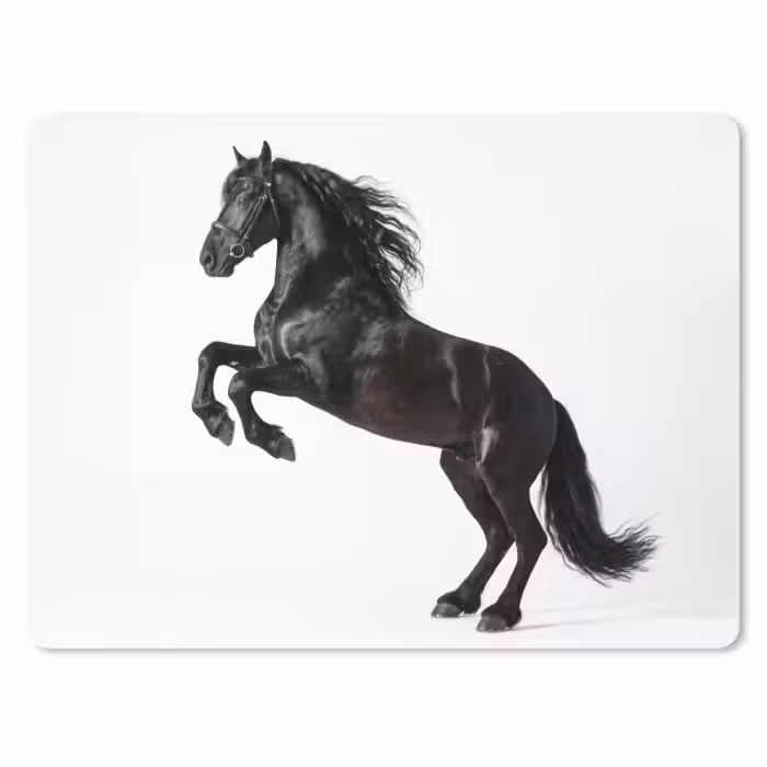 Muismat - Zwart - Paard - Portret
