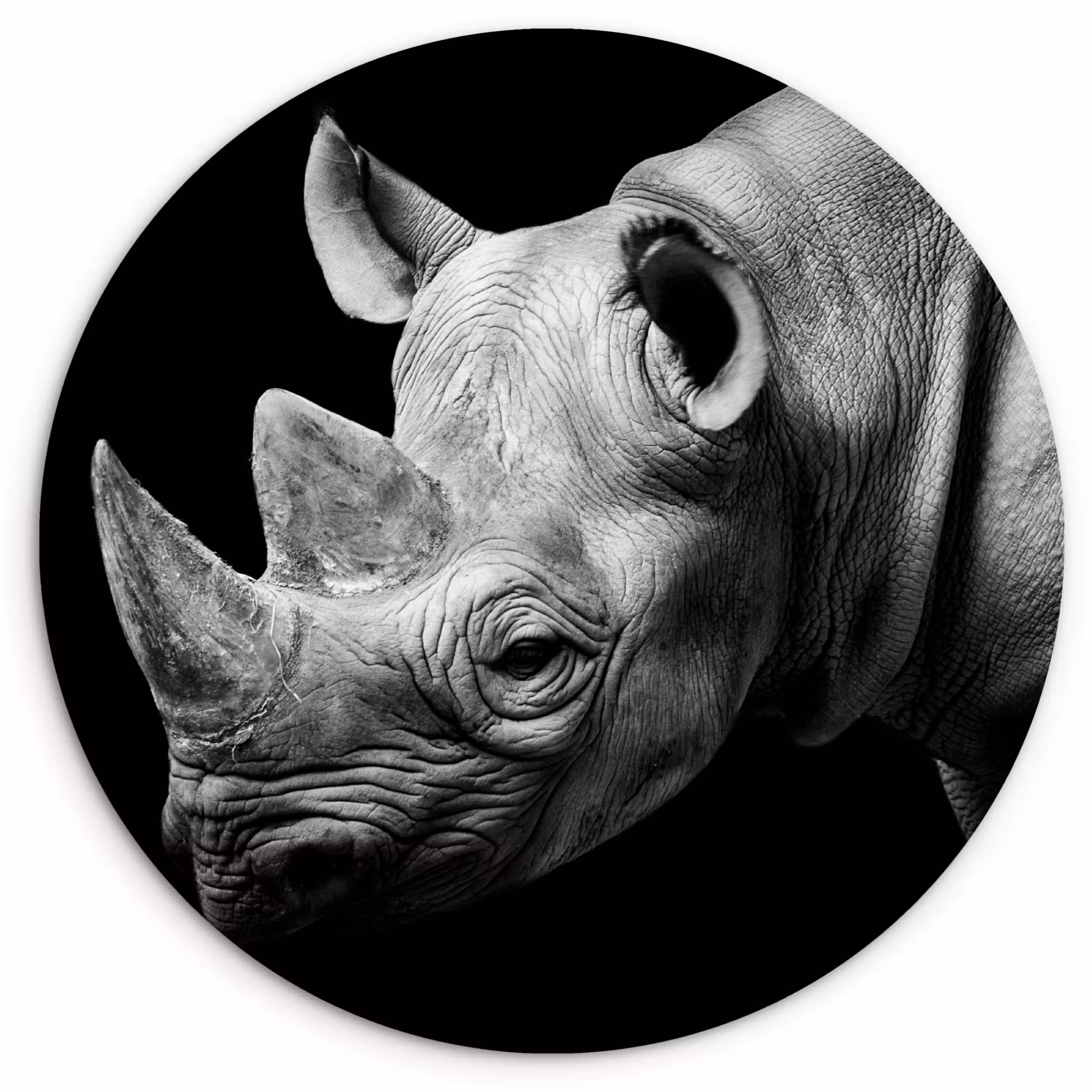 Muurcirkel - Dieren - Neushoorn - Zwart - Wit - Portret