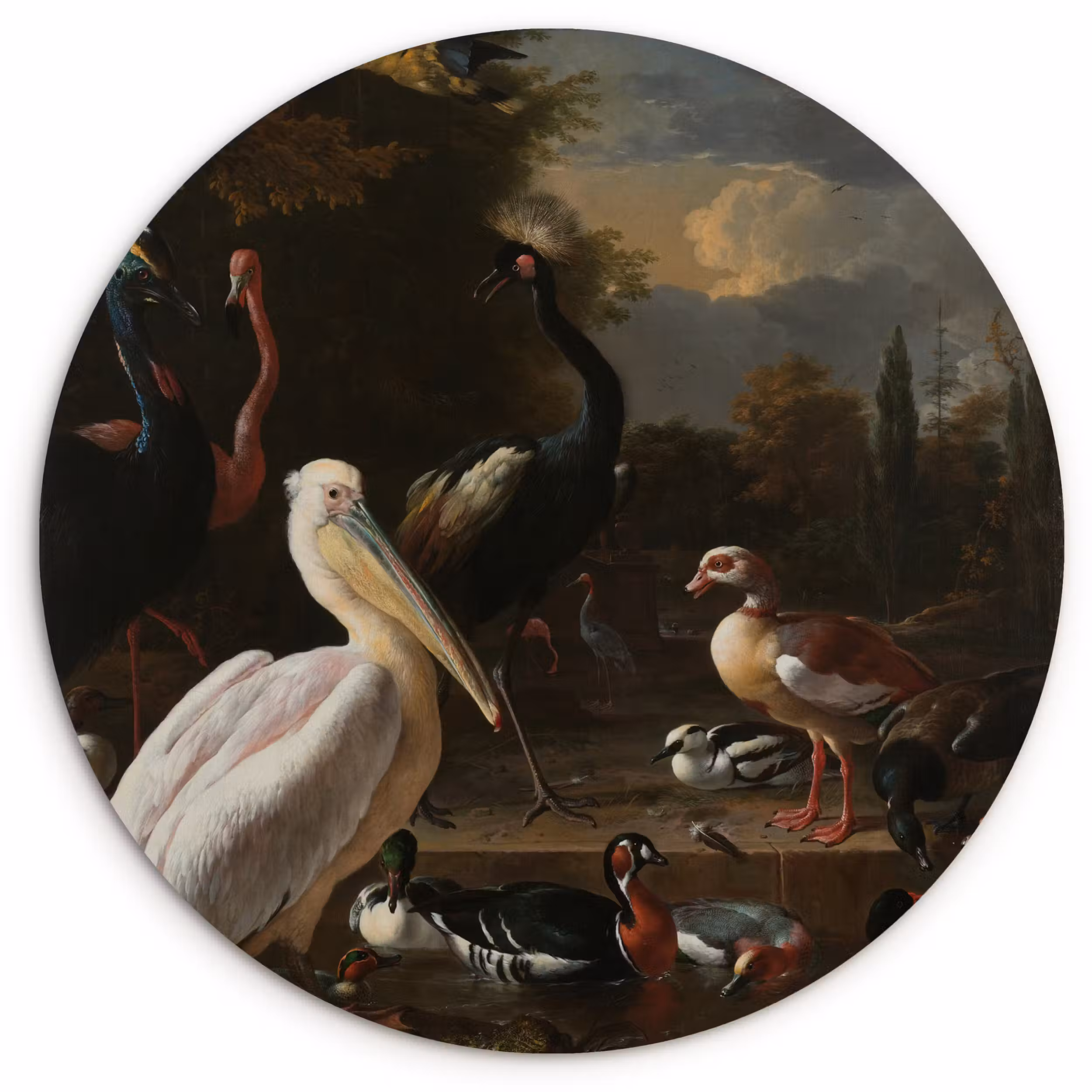 Muurcirkel - Een pelikaan en ander gevogelte bij een waterbassin - Schilderij van Melchior d'Hondecoeter