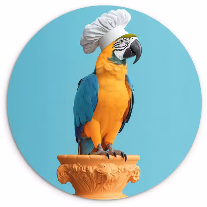 Muurcirkel glas - Papegaai - Koksmuts - Grappig - Vogel