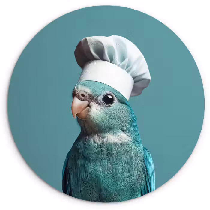 Muurcirkel glas - Parkiet - Vogel - Koksmuts - Cute