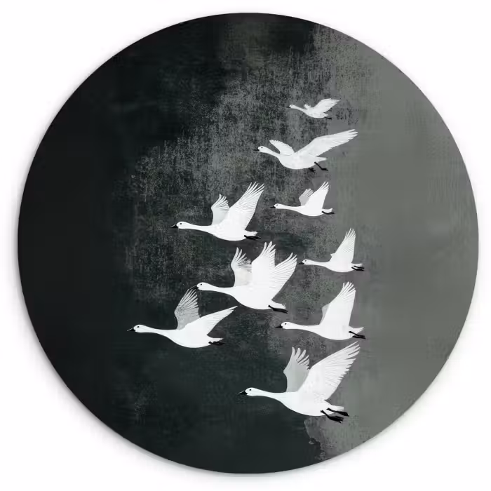 Muurcirkel glas - Vogel - Japandi - Groen
