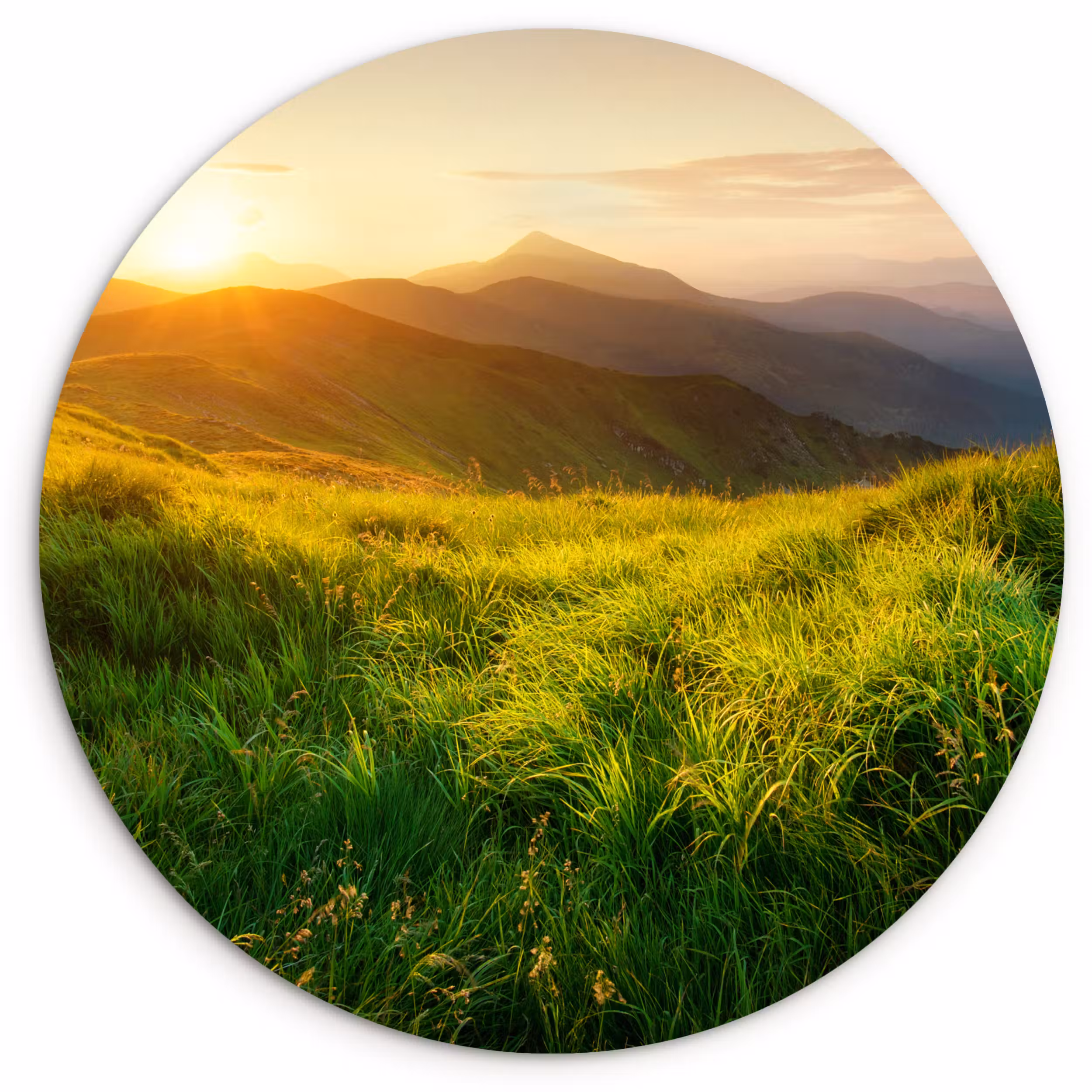 Muurcirkel - Gras - Heuvels - Zon - Natuur - Landschap