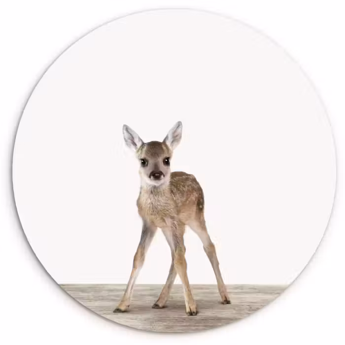 Muurcirkel - Hert - Baby hert - Dieren - Meisjes - Jongens - Kinderen