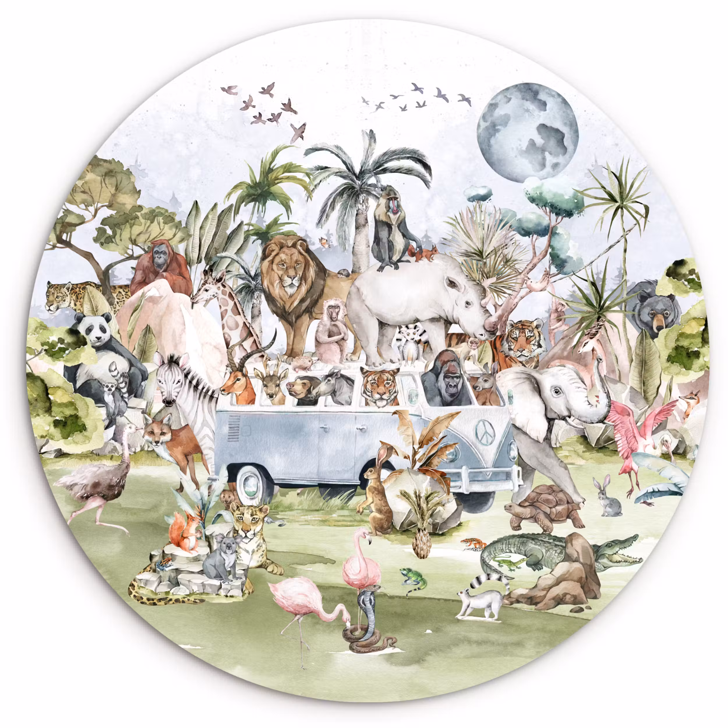 Muurcirkel - Jungle - Bus - Dieren - Kinderen - Planten