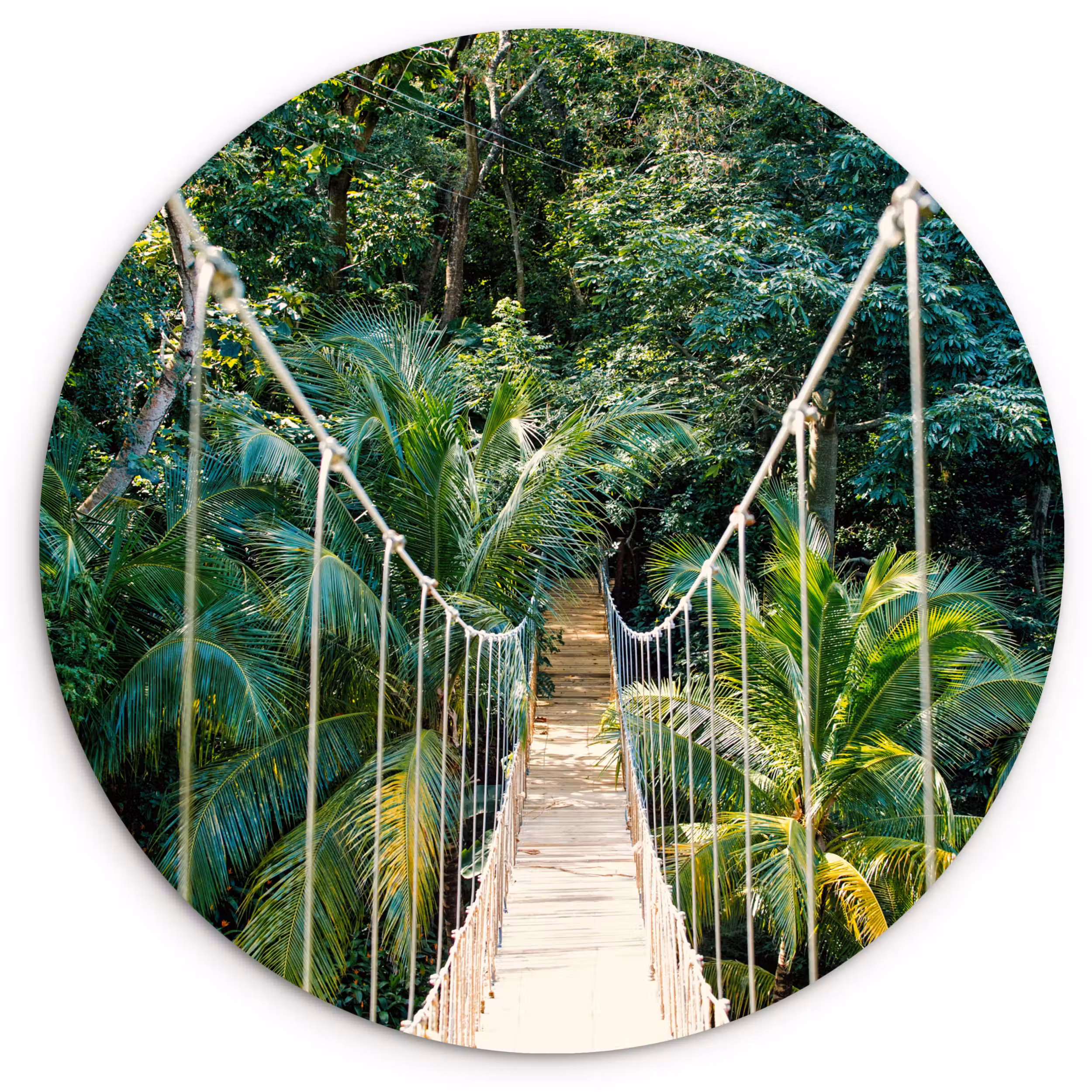 Muurcirkel - Jungle - Palmboom - Brug - Natuur - Planten