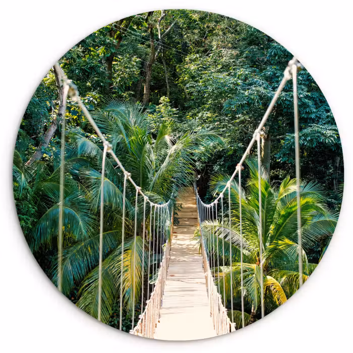Muurcirkel - Jungle - Palmboom - Brug - Natuur - Planten