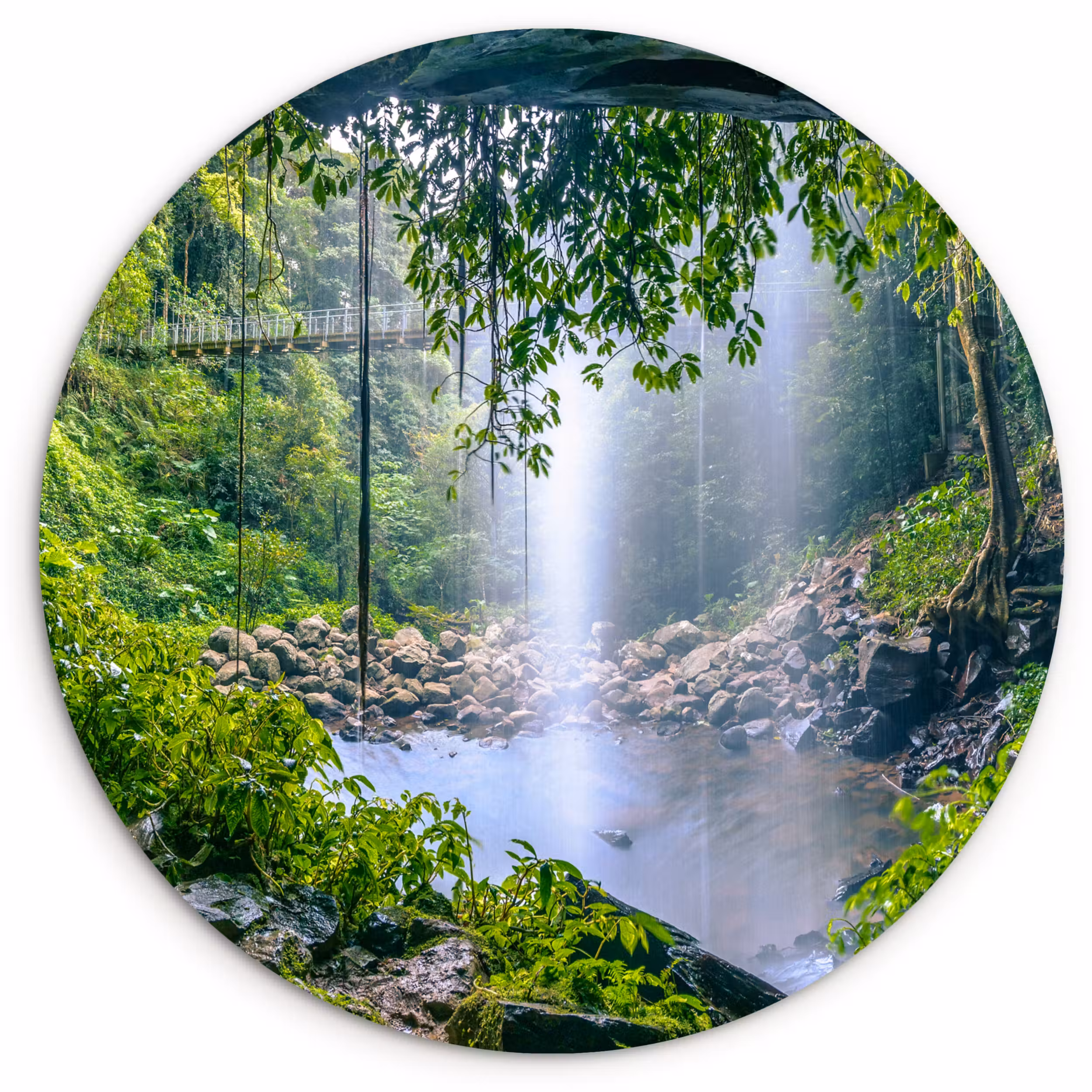 Muurcirkel - Jungle - Regenwoud - Water - Waterval - Planten