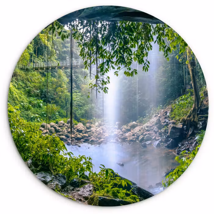 Muurcirkel - Jungle - Regenwoud - Water - Waterval - Planten