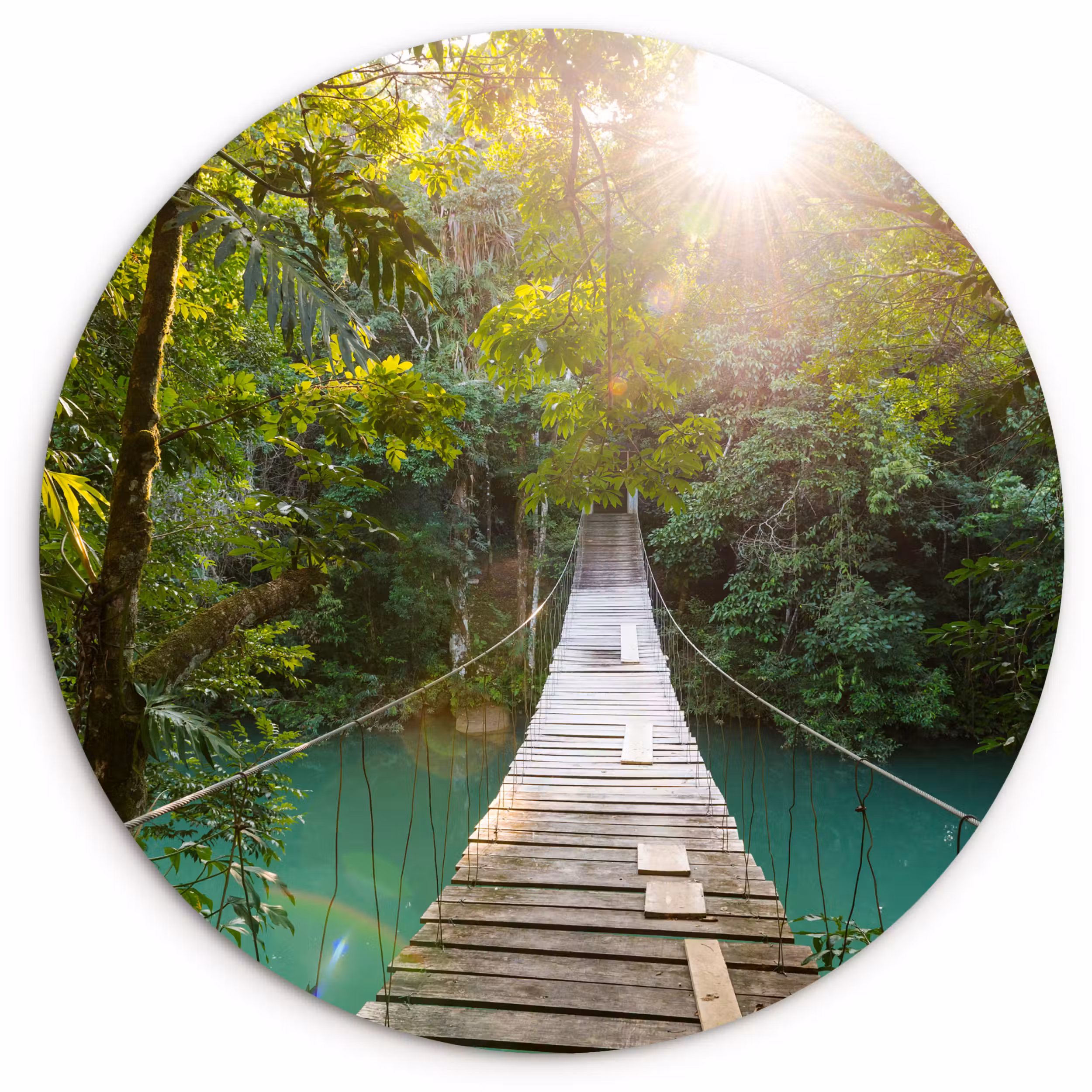 Muurcirkel - Jungle - Water - Brug - Natuur - Planten