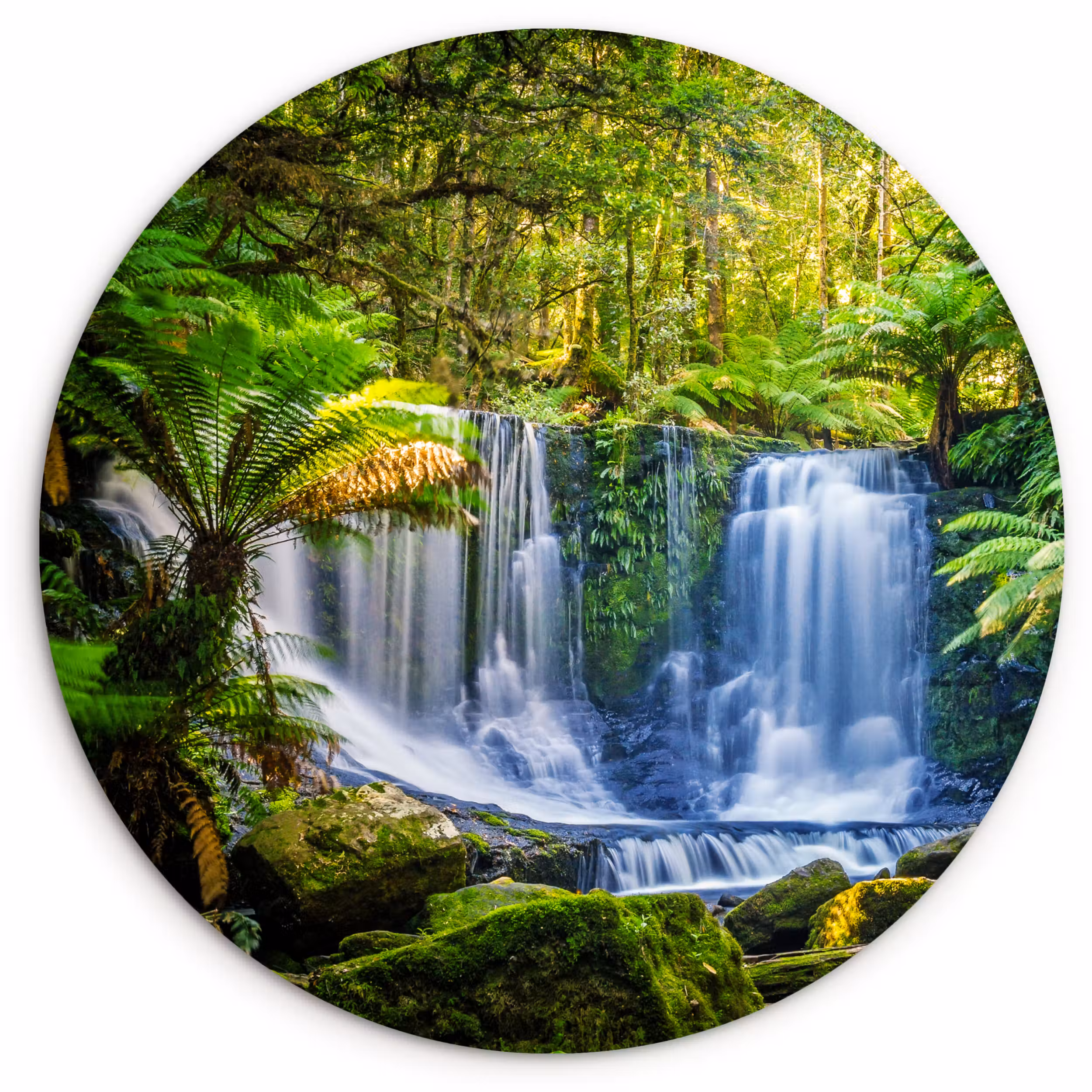 Muurcirkel - Jungle - Waterval - Australië - Planten - Natuur